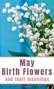 When you order flowers online for. May Birth Flower Lily Of The Valley Hawthorn Growing Family