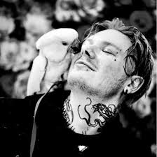 What is your favorite splash cymbal?