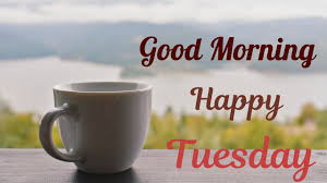 Check spelling or type a new query. Good Morning Tuesday Blessings Funny Images Quotes Messages To Share