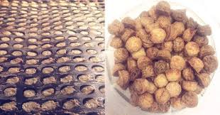 Hundeleckerlies Hundekekse Mit Der Backmatte Hundekekse Hunde Kekse Rezept Hundekuchen Rezepte
