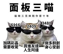 發刊日期 2019年7月12日 第 274 期. æ¨™çš„ç¾¤å‰µ3481 è·Œåˆ°æ²'å¾—è·Œå¤š è‚¡ç¥¨æ¿ Dcard