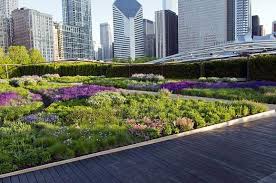 Lurie Garden Visual Tour Landscape Design Plants Garden Design