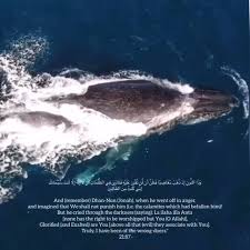 He (allah) has only forbidden to you dead animals, blood the hanafi scholars say it is makruh. Voice Of World Muslim Dublin Ohio Community Facebook