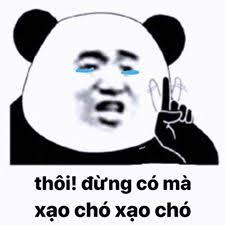 xạo chó xạo chó | Meme, Chuyện cười, Gấu trúc