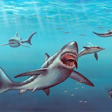 Marine biologist, collin drake, was brought in to uncover what had happened. 11 Facts About Megalodon The Giant Prehistoric Shark