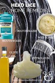 6 Home Remedies To Get Rid Of Head Lice Head Lice Remedy Lice Remedies Remedies