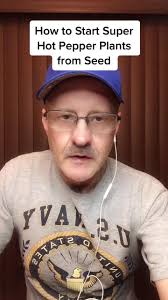 Starting Super Hot Pepper Seeds