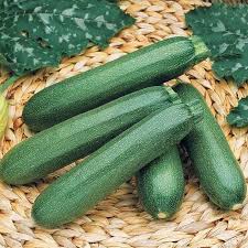 Is zucchini an annual or perennial. Payroll Hybrid Zucchini Summer Horticultural Products Services
