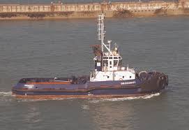 Image result for Gris 1995 Fleet