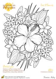 Coloriage Et Illustration Mandalas Polynesie Les Fleurs La Polynesie Et Notamment Tahiti A La Chance De Posseder Coloriage Coloriage Vaiana Dessin Coloriage