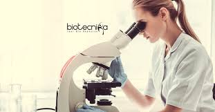 Siemens Life Science Clinical Evaluation Writer Job Vacancy In 2020 Life Science Writer Jobs Scientific Writing