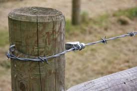 To get the most reviews from real customers, all for free, visit angi. Bekaert Gripple Barbed Wire T Clip 12 5g 10ct 288546 At Tractor Supply Co