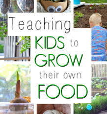 We did not find results for: Garden Fun Teaching Kids To Grow Their Own Food How Wee Learn