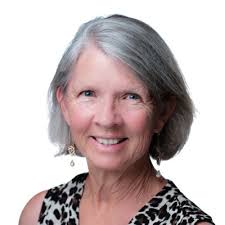 Developer defends investment as downtown preservation funding scrutinized