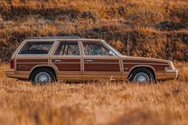 Image result for Mink Brown 1985 Chrysler