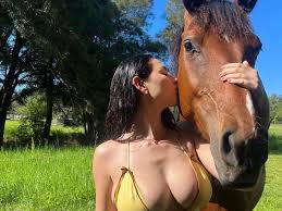 OnlyFans star sees horse castration go badly wrong as she admits I cannot  watch - Daily Star