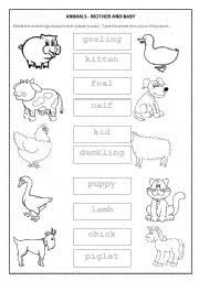 A quality educational site offering 5000+ free printable theme units, word. Baby Animals Worksheets