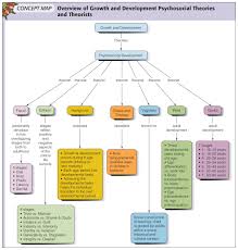 Pin By Judy Rolph On Concept Of Growth And Development Concept Map Development Concept