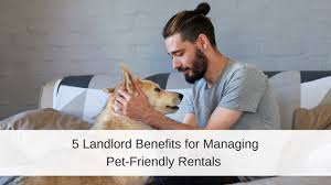 That's by far the biggest benefit of a renters policy when it comes to pets. 5 Reasons You Should Allow Pets At Your Rental Property