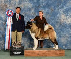 We did not find results for: Canuck Dogs Your Source For Canadian Dog Event Information Online