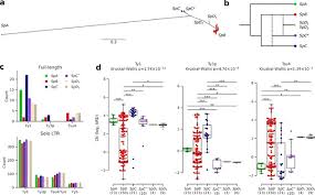 A shrewd marketing plan is in place. The Effect Of Hybridization On Transposable Element Accumulation In An Undomesticated Fungal Species Elife
