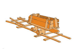 Image result for Tessmannia anomala