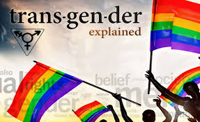 Pin On Gender