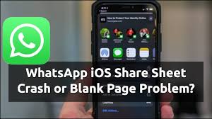 At other times, some of the device's permissions sometimes there's no discernible cause. How To Fix Whatsapp Ios Share Sheet Not Working Problem Laptrinhx