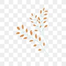  Feby Deatri Fdeatri Profil Pinterest