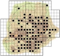 Image result for Volkameria glabra