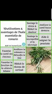 C'est une douleur quasi permanente et qui dure longtemps.elle est toujours chronique, pouvant persister. Vadou Naturelle L Huile Essentielle De Romarin Facebook