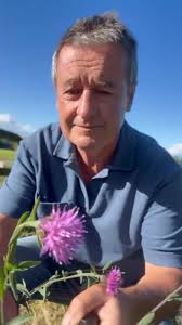 Tales from a Wild Garden