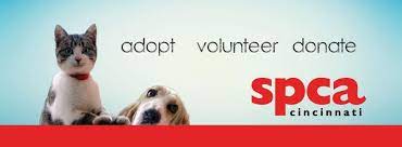 For long distance adoptions, adopter must visit the pet in person at our center and coordinate pet's transportation at their own cost. Spca Cincinnati Home Facebook