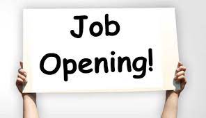 Find Latest Work From Home Job Vacancies For Freshers Experienced Across Top Companies Apply To Work From Ho Accounting Jobs Work From Home Jobs Job Opening