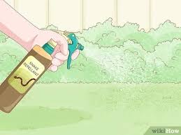 These amphibians love to eat insects and will act as a natural defense against all sorts of nasty bugs. How To Get Rid Of Frogs With Pictures Wikihow