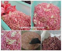 Bunga kantan, serai, daun limau purut dan cili padi dimayang halus macam nak buat bunga rampai. Food Lifestyle Education Parenting Diy Cararesepi