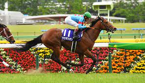 Nhkマイルカップ 競馬 nhkマイルカップ 競馬 nhkマイルカップ 競馬 nhkマイルカップ 競馬 nhkマイルカップ 競馬 nhkマイルカップ 競馬 nhkマイルカップ 競馬. Nihdnkuuy6jegm