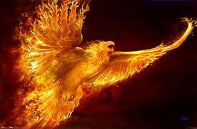 Copy and paste the following code into your web page to display phoenix's official live video feed. Phoenix Medieval Universes Wiki Fandom