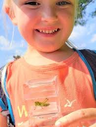 Maine Outdoor School takes learning outside