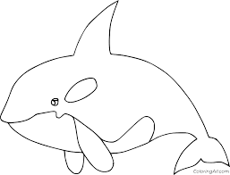 This collection includes mandalas, florals, and more. Simple Orca Coloring Page Coloringall