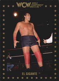 Updated on may 28, 2020. Jorge Gonzalez Merchandise Pro Wrestling Fandom