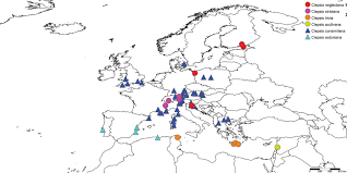 Pixie dust, magic mirrors, and genies are all considered forms of cheating and will disqualify your score on this test! Remarkable Confusion In Some Western Palearctic Clepsis Leads To A Revised Taxonomic Concept Lepidoptera Tortricidae