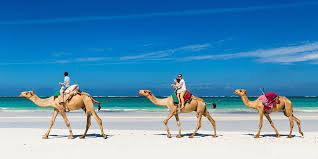 Photos and souvenirs available for purchase. The Best Los Cabos Tours Activities In Los Cabos Mexico