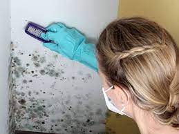 Профилактика или как не столкнуться с проблемой спор черного аспергилла? Chernaya Plesen Vidy Prichiny Poyavleniya Kak Borotsya