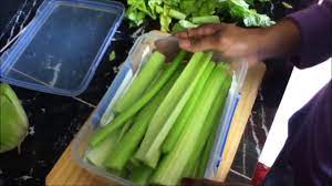 How To Keep Celery Fresh And Crisp For Longer Growing Celery Youtube