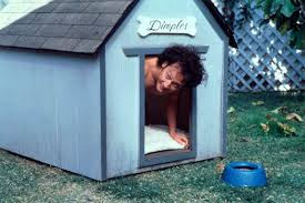 Check spelling or type a new query. Bild Zu Rob Schneider Animal Das Tier Im Manne Bild Luke Greenfield Rob Schneider Filmstarts De