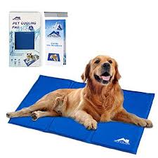 No problem because the solotion is in our home. Whalek Pet Cooling Mat Pet Cooling Pad Dog Self Cooling Cool Dog Beds Dog Cooling Mat Diy Dog Stuff
