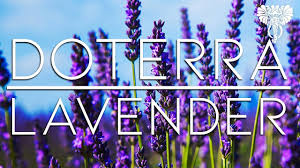 doterra oils lavender and what it can