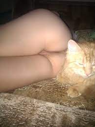 Porn with a cat