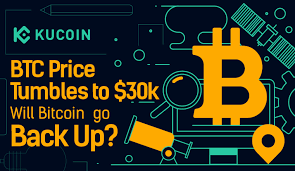 However (not an investment advice), several factors indicate that the fundamentals are not going anywhere. Btc Price Tumbles To 30k Will Bitcoin Go Back Up